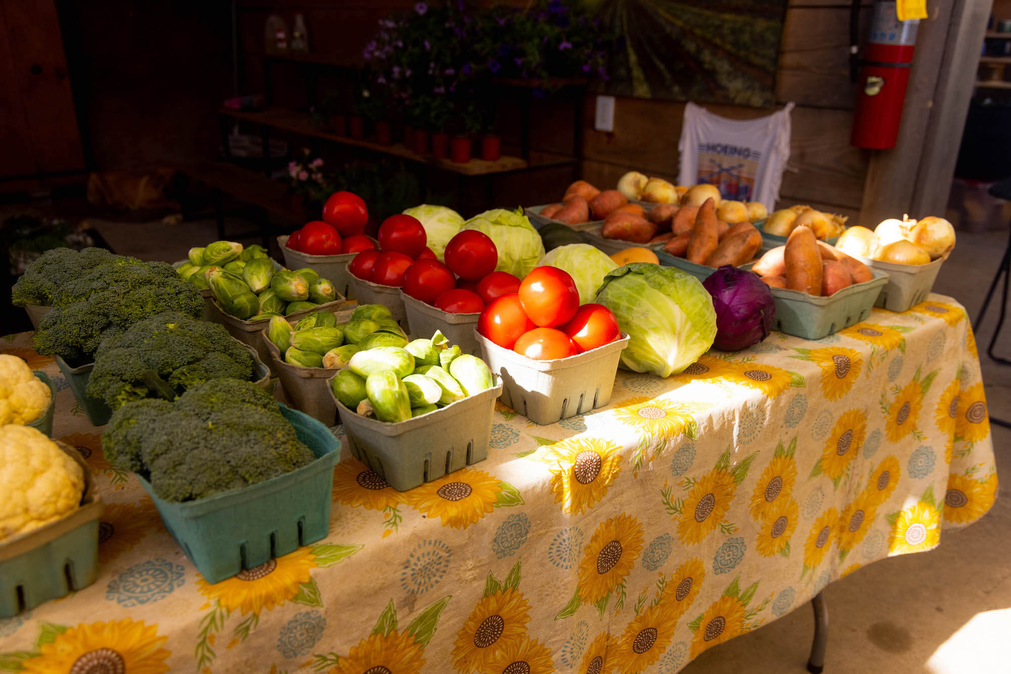 Fresh vegetables at a farmer's market
