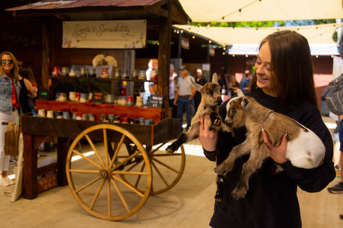 Goats at a Farmer's Market