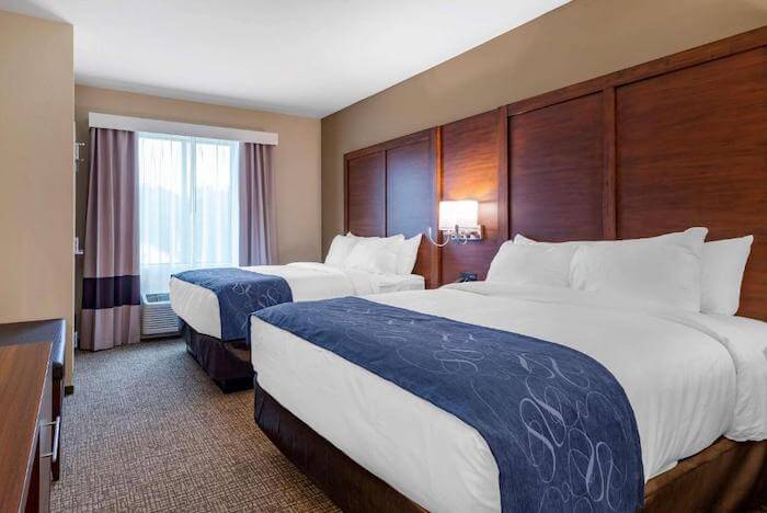 Clean and fresh hotel room