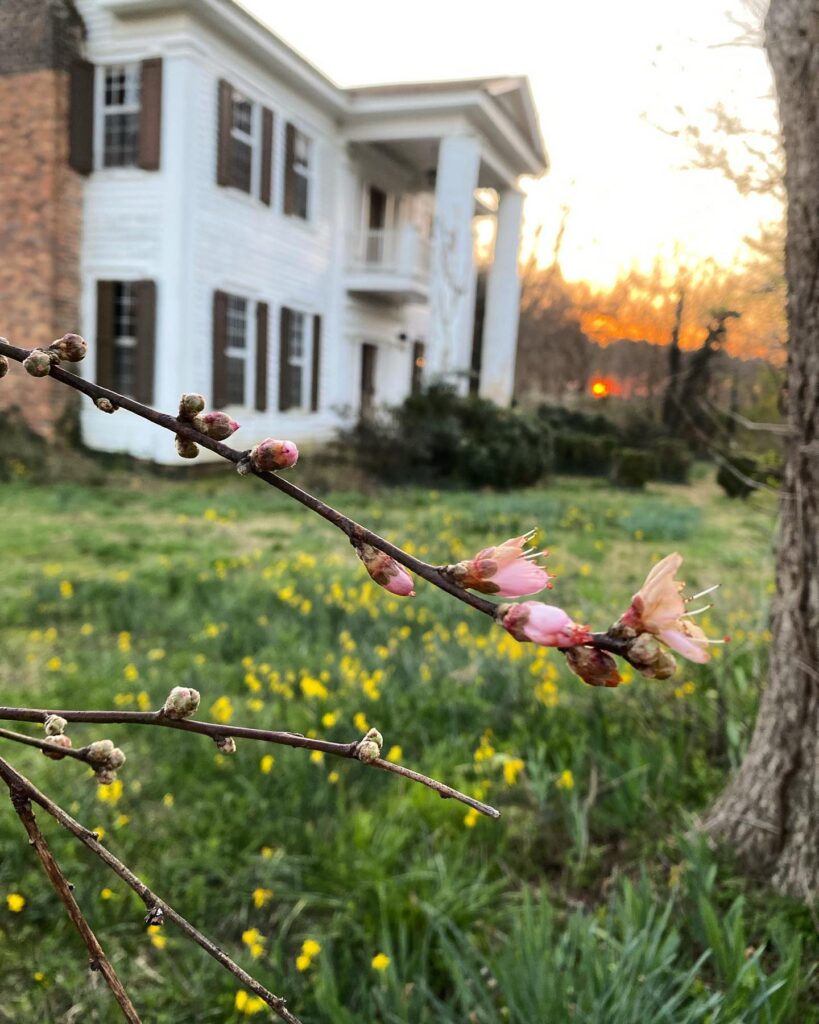 Exterior sunset shot of the old antebellum house.
