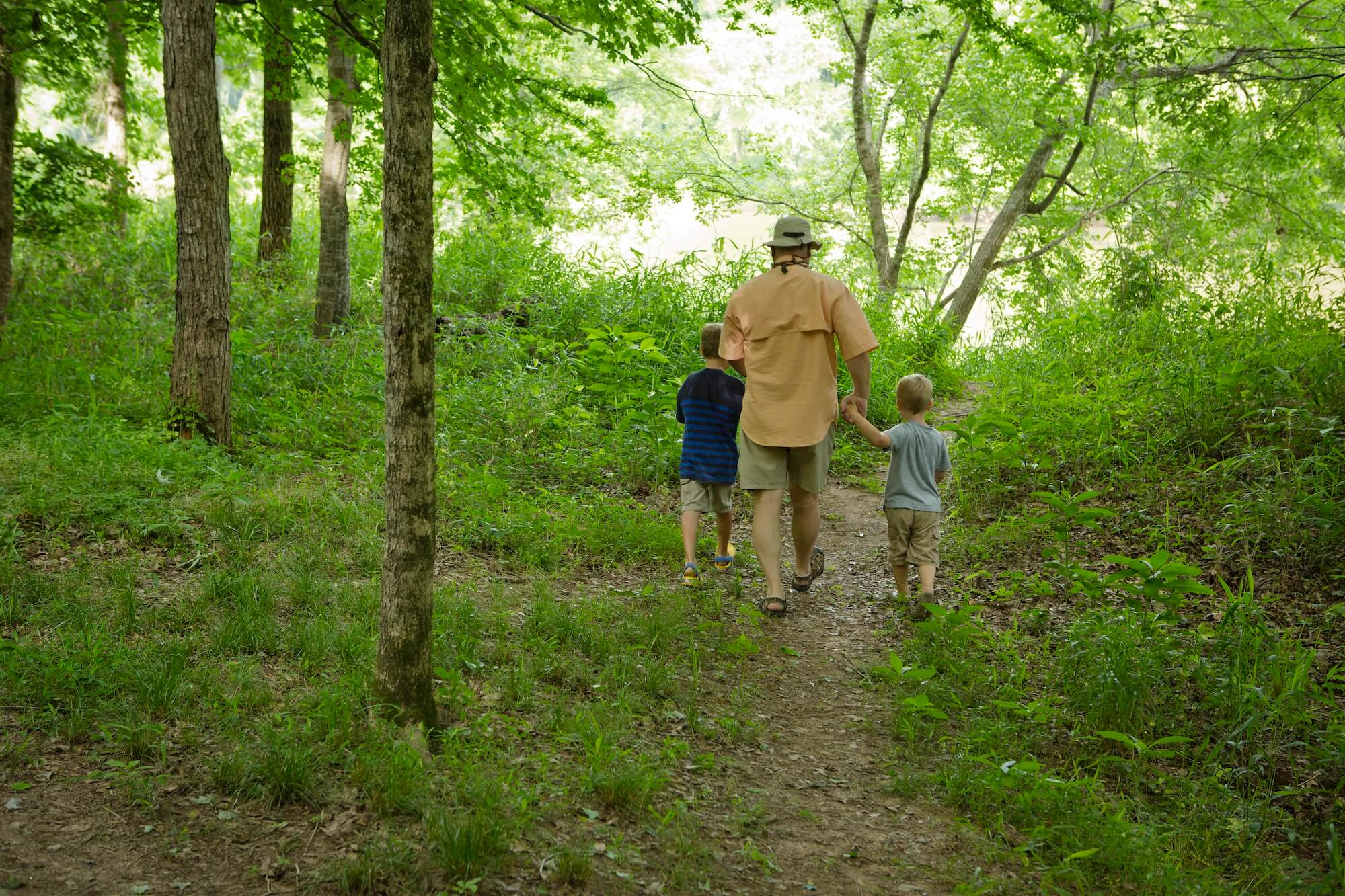 Family walking through forest